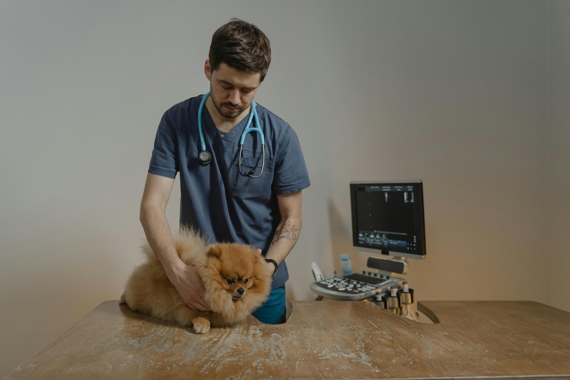 Best Vets in Oologah