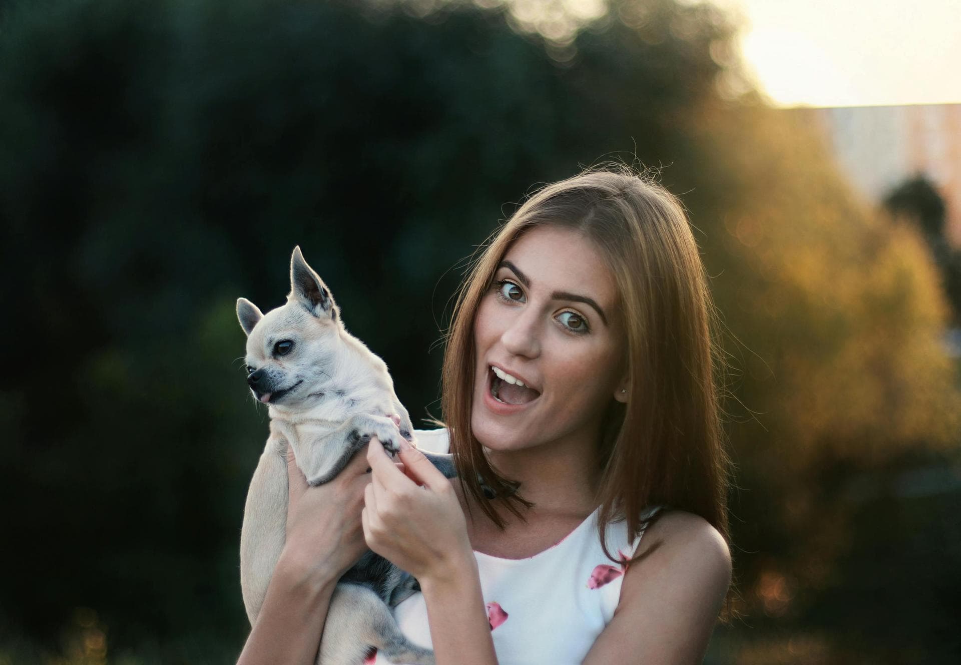 Dog & Cat Vets in Yukon